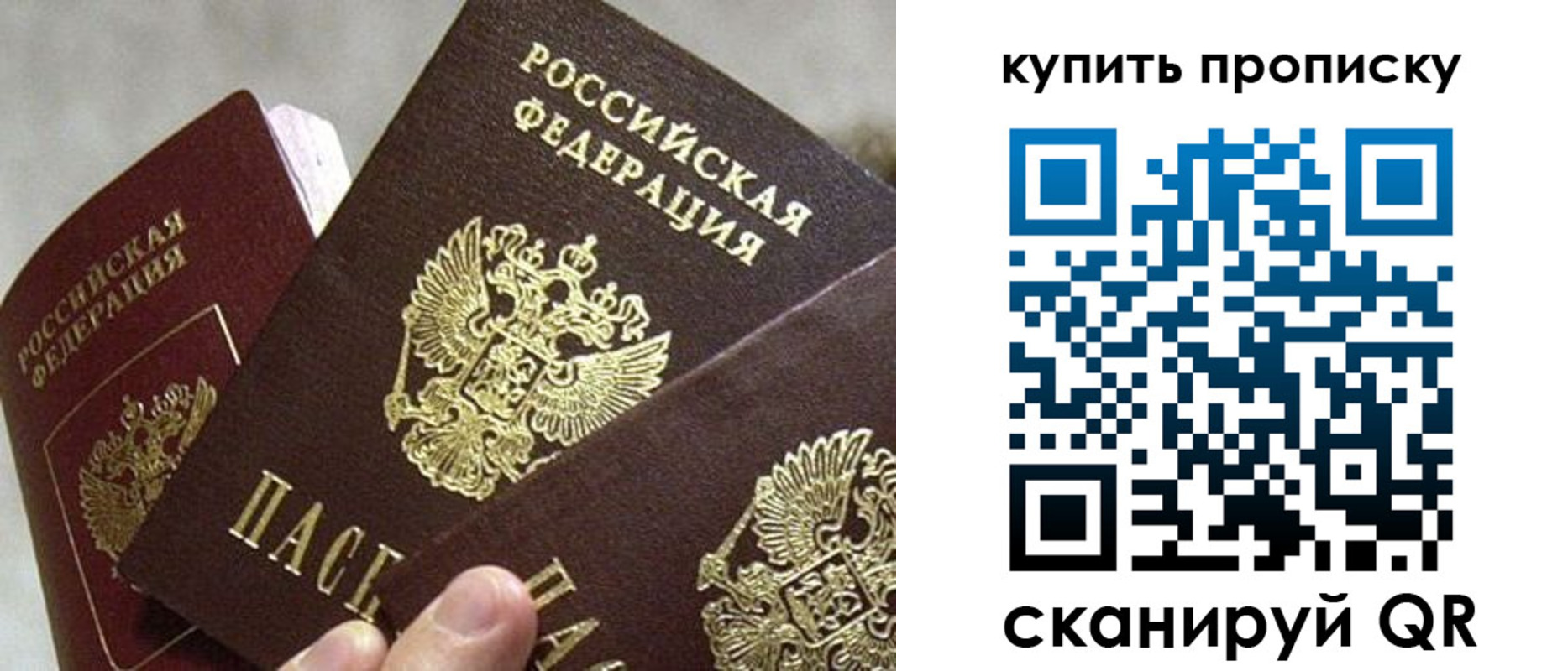 прописка для школы в Щиграх